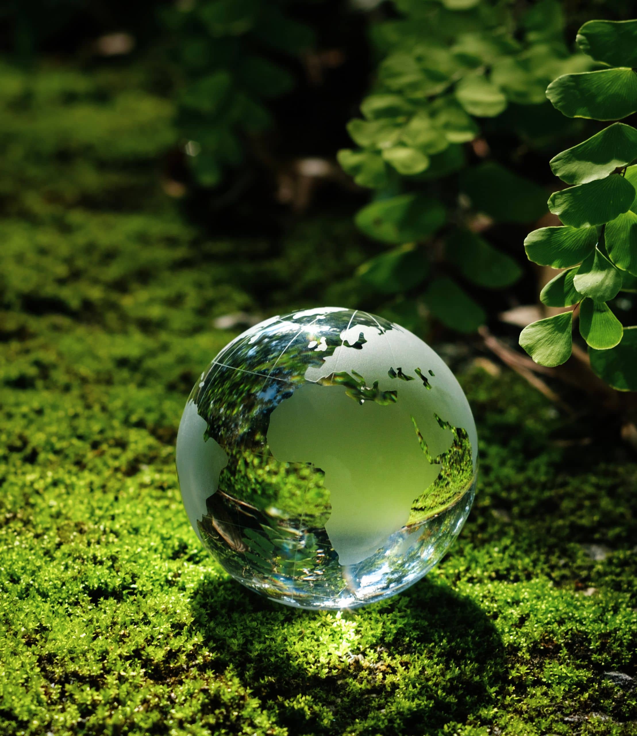 Design sans titre (2) (1)